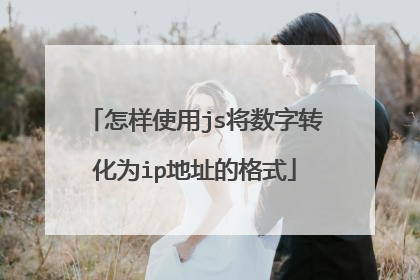 怎样使用js将数字转化为ip地址的格式