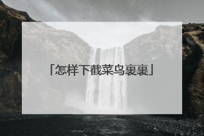 怎样下截菜鸟裹裹