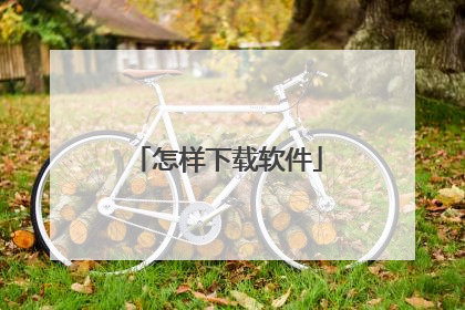 怎样下载软件