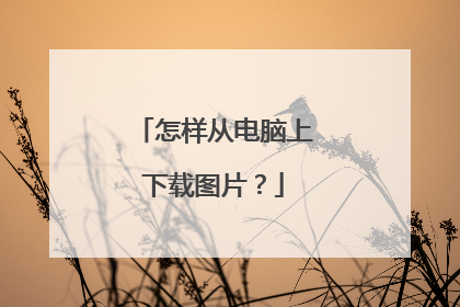 怎样从电脑上下载图片?