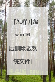 怎样升级win10后删除老系统文件