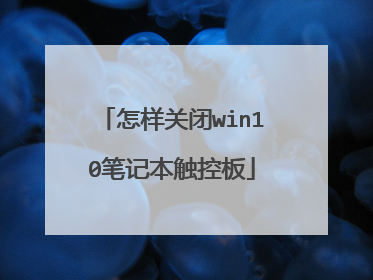 怎样关闭win10笔记本触控板