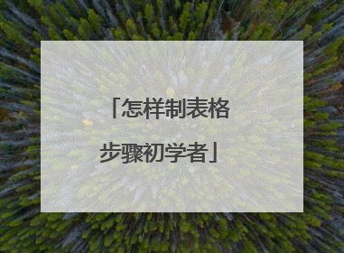 怎样制表格步骤初学者