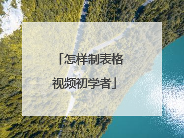 怎样制表格视频初学者