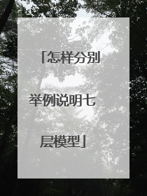 怎样分别举例说明七层模型