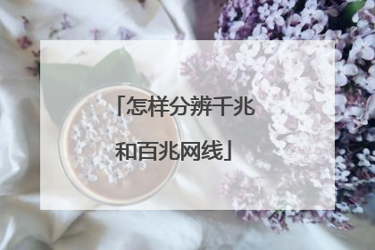 怎样分辨千兆和百兆网线