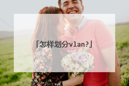 怎样划分vlan?
