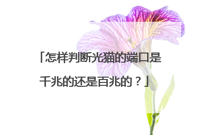 怎样判断光猫的端口是千兆的还是百兆的？