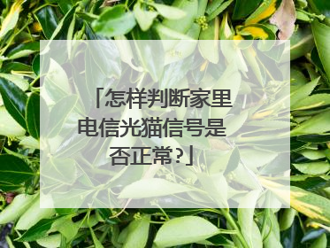 怎样判断家里电信光猫信号是否正常?
