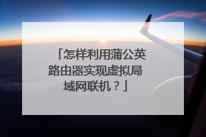 怎样利用蒲公英路由器实现虚拟局域网联机?