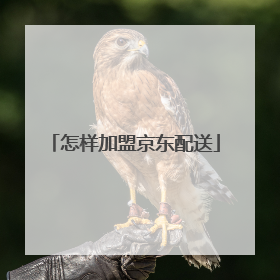 怎样加盟京东配送