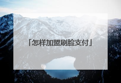 怎样加盟刷脸支付