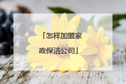 怎样加盟家政保洁公司