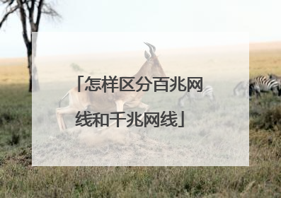 怎样区分百兆网线和千兆网线