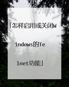 怎样启用或关闭Windows的Telnet功能