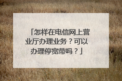 怎样在电信网上营业厅办理业务？可以办理停宽带吗？