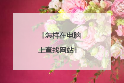 怎样在电脑上查找网站