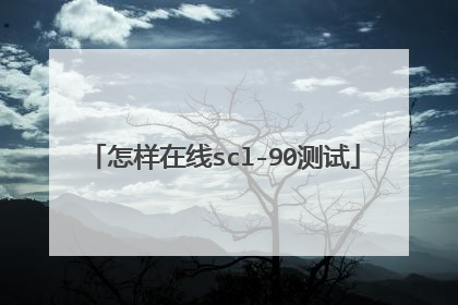 怎样在线scl-90测试
