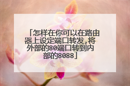 怎样在你可以在路由器上设定端口转发,将外部的80端口转到内部的8088