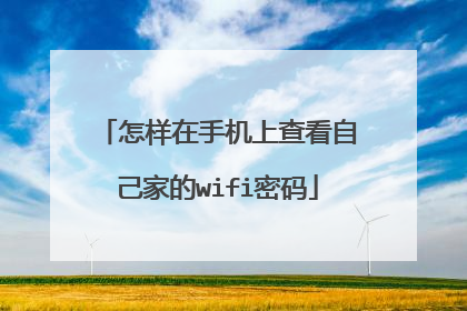 怎样在手机上查看自己家的wifi密码
