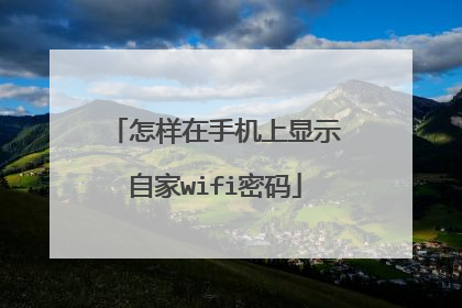 怎样在手机上显示自家wifi密码