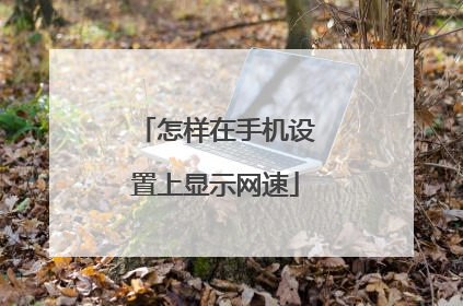 怎样在手机设置上显示网速