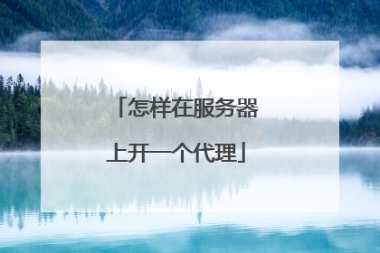 怎样在服务器上开一个代理
