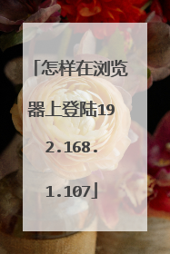 怎样在浏览器上登陆192.168.1.107