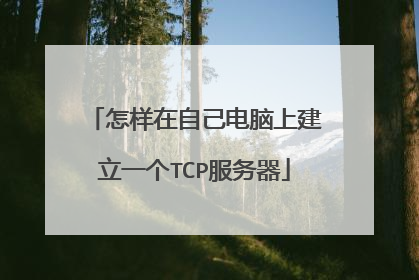 怎样在自己电脑上建立一个TCP服务器