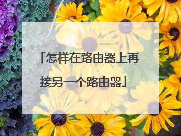 怎样在路由器上再接另一个路由器