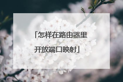 怎样在路由器里开放端口映射