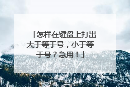 怎样在键盘上打出大于等于号,小于等于号?急用!