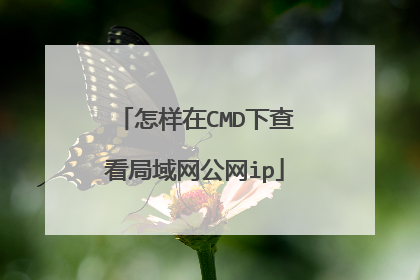 怎样在CMD下查看局域网公网ip