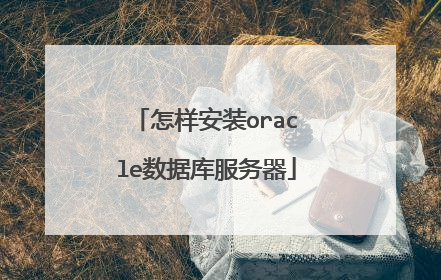 怎样安装oracle数据库服务器