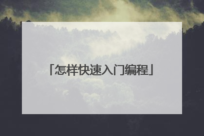 怎样快速入门编程