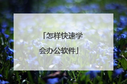怎样快速学会办公软件