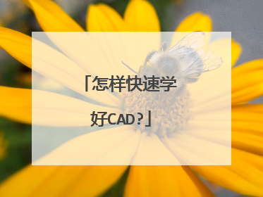 怎样快速学好CAD?