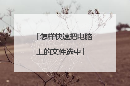 怎样快速把电脑上的文件选中