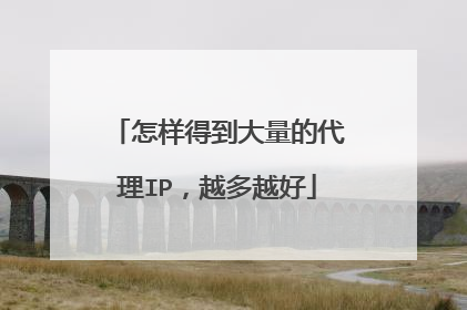 怎样得到大量的代理IP，越多越好