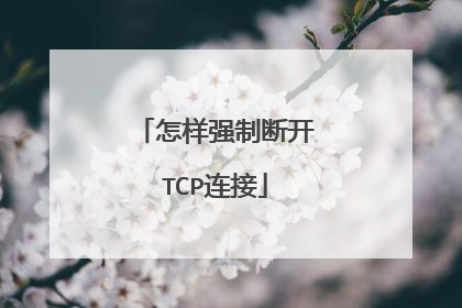 怎样强制断开TCP连接
