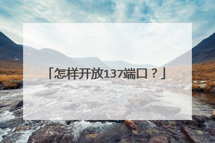 怎样开放137端口?