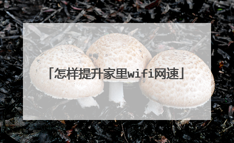 怎样提升家里wifi网速