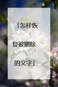 怎样恢复被删除的文字