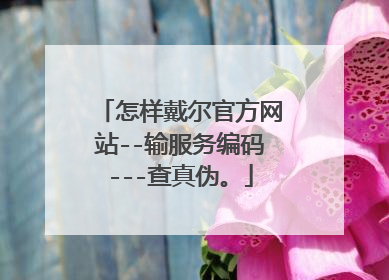 怎样戴尔官方网站--输服务编码---查真伪。