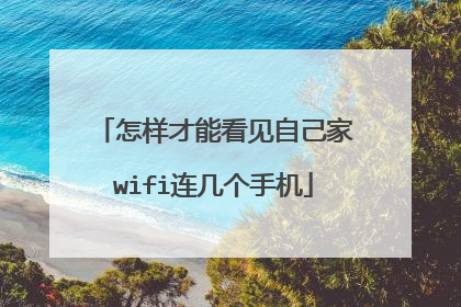 怎样才能看见自己家wifi连几个手机