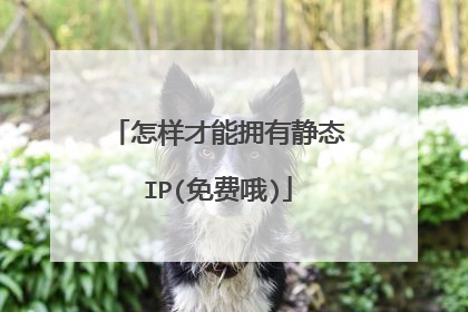 怎样才能拥有静态IP(免费哦)
