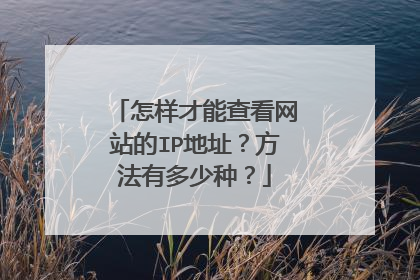 怎样才能查看网站的IP地址?方法有多少种?