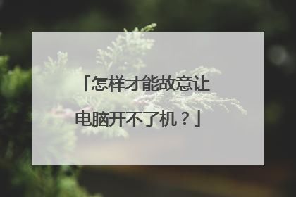 怎样才能故意让电脑开不了机？