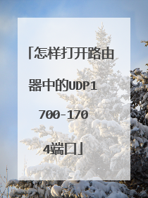 怎样打开路由器中的UDP1700-1704端口