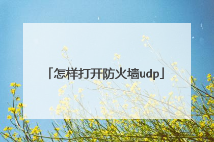 怎样打开防火墙udp